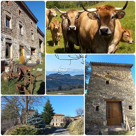 Holiday home La Roucoule *